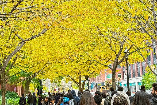 Old Town Toronto and Saint Lawrence Market Walking Tour - Why Choose This Tour?