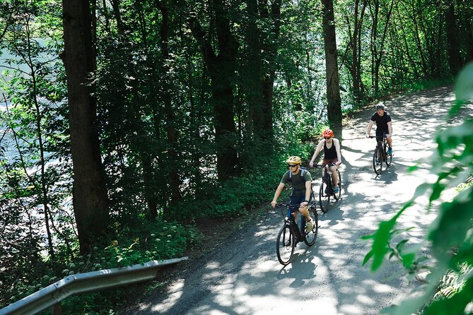 Olden: Fjord e-bike tour - Key Points