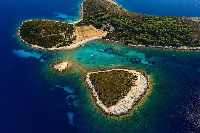 Oldest Olive Tree With Tasting And Lunch - Seafront Lunch with Swimming and Snorkeling Options