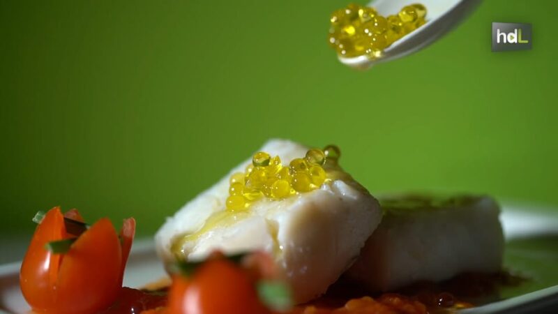 OleoAlmanzora: Guided tour + EVOO Breakfast/Afternoon tea - Final Thoughts on the OleoAlmanzora Guided Tour