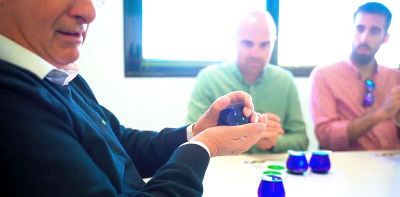 OleoAlmanzora: Guided tour olive groves and EVOO facilities - Meeting Point and Accessibility Details