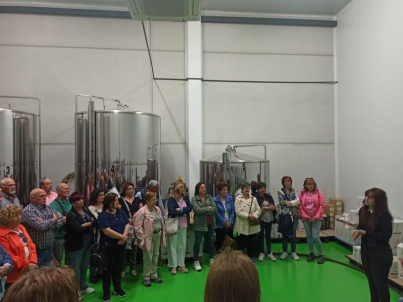 OleoAlmanzora: Guided tour olive groves and EVOO facilities - What Makes This Tour Stand Out
