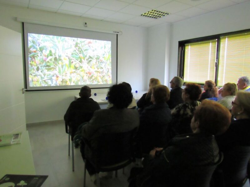 OleoAlmanzora: Guided tour olive groves and EVOO facilities - Who Will Appreciate This Experience