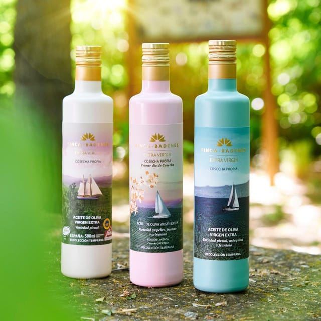 Oleotourism and Monumental Cities - Visiting Jaén or Baños de la Encina: A Glimpse into Monumental Spain