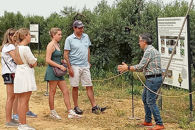 Oleotourism and olive oil tasting in Seville - Private tour - Key Points