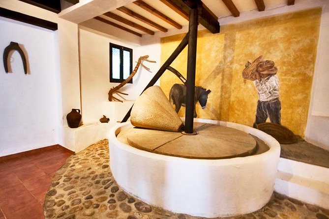 Oleotourism and olive oil tasting in Seville - Private tour - Discover Hacienda Guzmán’s Historic Estate and Olive Oil Legacy