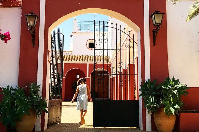 Oleotourism and olive oil tasting in Seville - Private tour - Step Back in Time at the 17th Century Mill