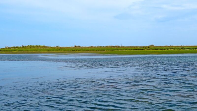 Olhão: 3-Hour Ria Formosa Boat Tour - Practical Information: Accessibility and Booking Options