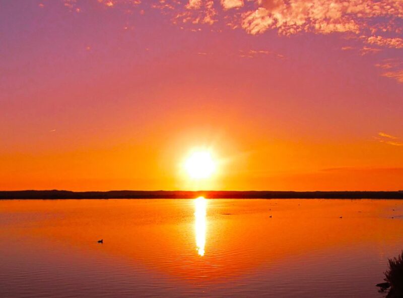 Olhão: 3-Hour Ria Formosa Boat Tour - Comparing Similar Ria Formosa Tours