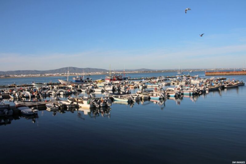 Olhão: 3 Islands Guided Sightseeing Tour with Lunch - Lunch at a Fishermans House