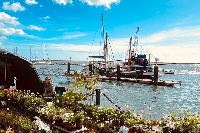 Olhão Fish Market & Food Tour - Olhão Fish Market: A Bustling Hub of Seafood