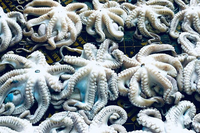 Olhão Fish Market & Food Tour - Practical Details: Meeting Point and Tour Logistics