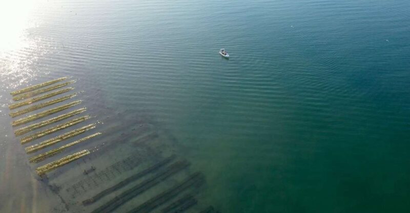 Olhão: Formosa Rota 2H - What Makes This Boat Tour Stand Out in the Algarve