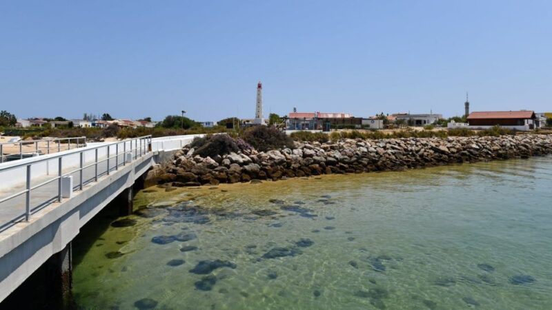 Olhão: Private Boat Tour to Ria Formosa - Opportunities to Swim in the Lagoons Clear Waters