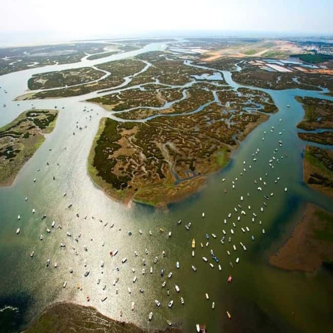 Olhão: Ria Formosa 2 Islands Boat Tour - Practical Aspects: Guides, Equipment, and Comfort