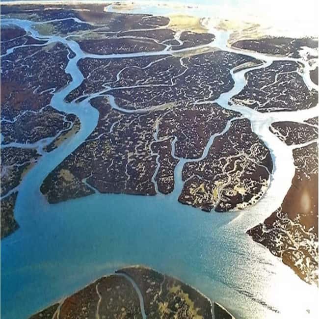 Olhão: Ria Formosa 2 Islands Boat Tour - Limitations and Considerations