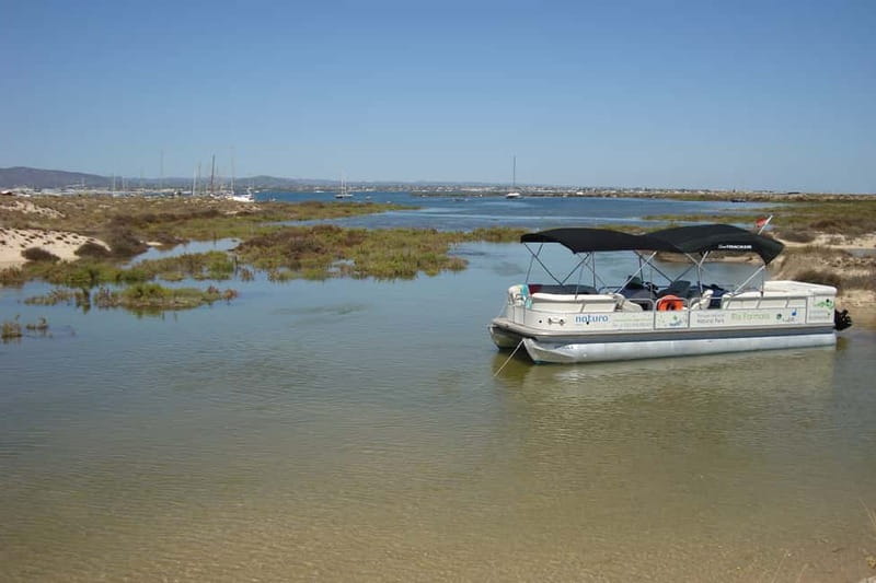 Olhão: Ria Formosa & Culatra Island Boat Trip (3.5 h) - Key Points