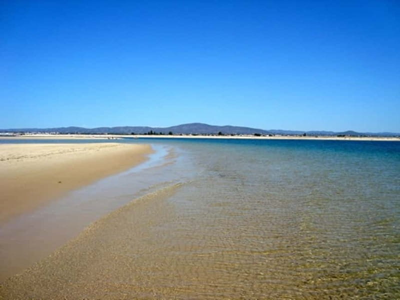 Olhão: Ria Formosa & Culatra Island Boat Trip (3.5 h) - Panoramic Views and Return to Olhão
