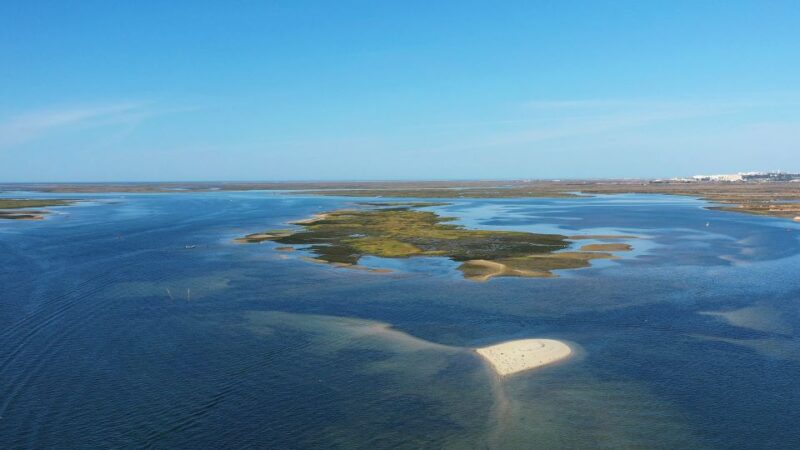 Olhão: Ria Formosa National Park and Islands Boat Cruise - Logistics and What’s Included in the Price