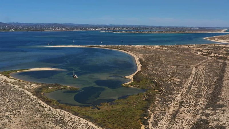 Olhão: Ria Formosa National Park and Islands Boat Cruise - The Experience of Guides and Overall Atmosphere