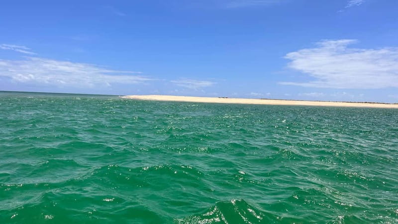 Olhão- Route of 2 fantastic Ria Formosa islands - Wildlife and Landscape Appreciation