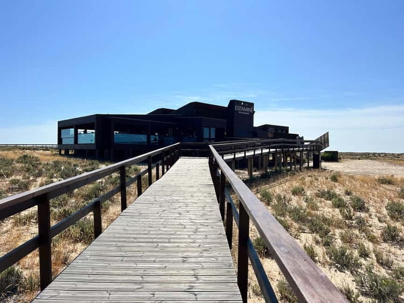 Olhão: Tour of the Ria Formosa Islands 5 hours tour - Discovering Culatra Island’s Culinary and Cultural Scene