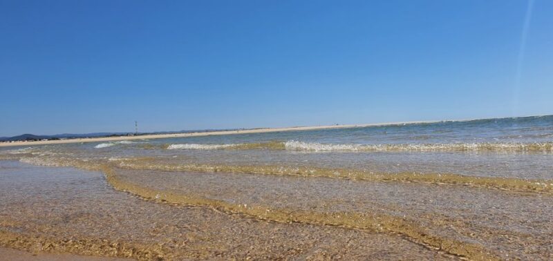 Olhão:5h ride 3 stops on the beaches and islands Ria Formosa - Savor Authentic Local Delicacies on Culatra Island