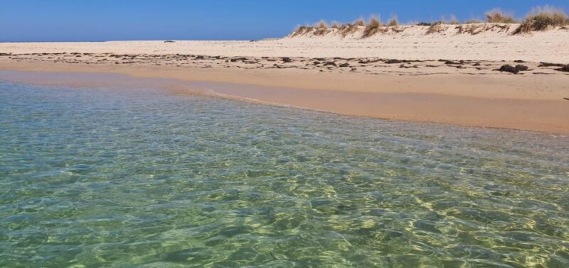 Olhão:5h ride 3 stops on the beaches and islands Ria Formosa - Weather Contingencies and Cancellation Policy