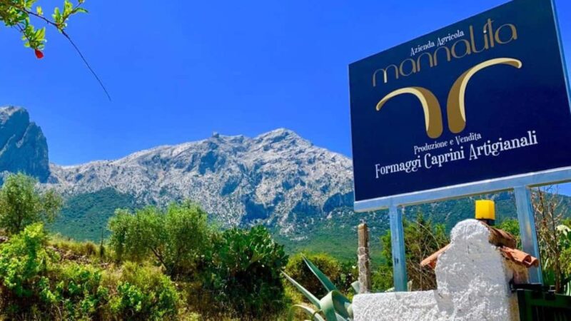 Oliena: Goat Cheese Tasting - Practical Details: Meeting Point and Duration