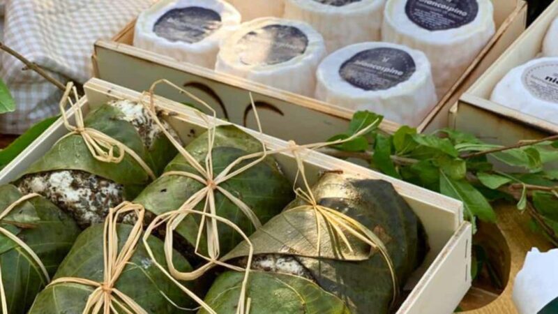 Oliena: Goat Cheese Tasting - Who Will Enjoy This Tour Most?