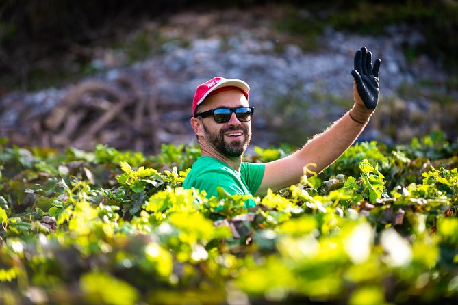 Olive farm & village - The Unique Classroom: Open-Air Learning at Its Best