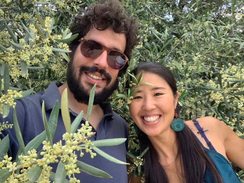 Olive grove walking, Puglian food and olive oil pairing tour - How Olive Oil is Produced at the Farm