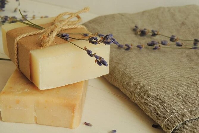 Olive harvest, visit to the oil mill and typical lunch - Discover the Authentic Sicilian Olive Harvesting Experience