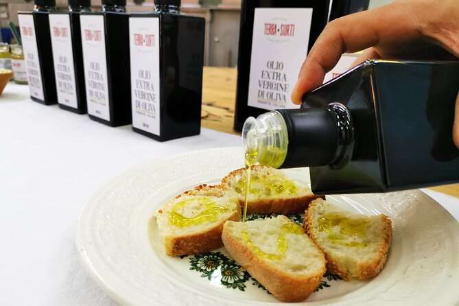 Olive harvest, visit to the oil mill and typical lunch - The Value of This Olive Harvest Tour in Sicily