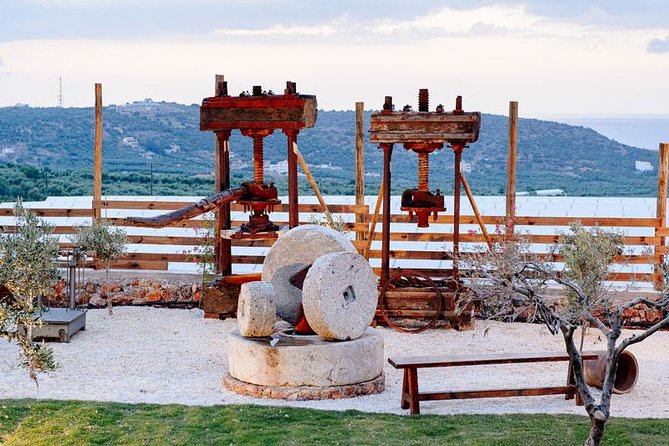 Olive Mill Festival - An Evening at the Family Lyraki’s Olive Garden