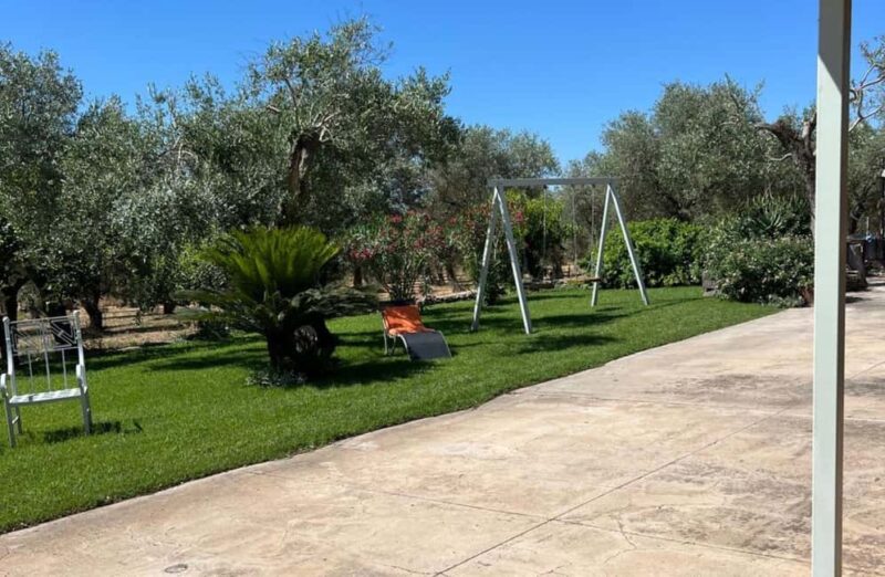 Olive Mill Tour with Olive Oil Tasting in Sassari - Insights into the Olive Pressing Process