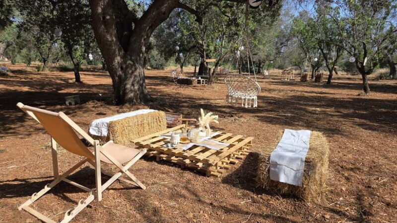 Olive Oil and almond Tour and Tasting: Brindisi, Ostuni - Key Points