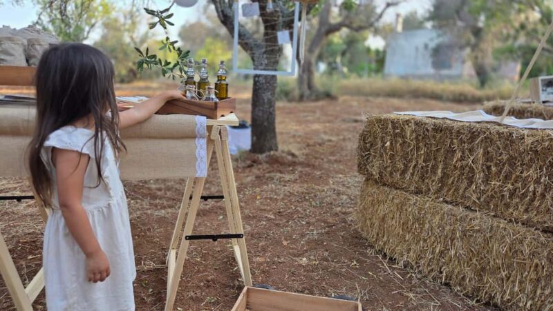 Olive Oil and almond Tour and Tasting: Brindisi, Ostuni - Visiting a Family-Run Organic Olive Grove in San Vito dei Normanni