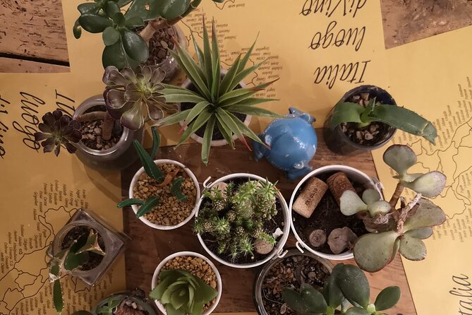 Olive Oil and Wine in Lecce - Accessibility and Group Options