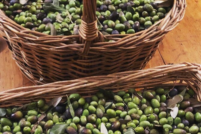 Olive Oil, Cheese, and Wine Tasting with Local Expert - Sampling Award-Winning Olive Oils and Pairings