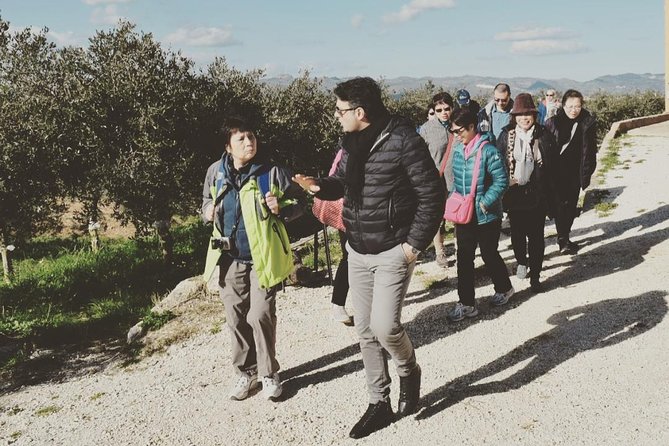 Olive Oil Experience - Discover the Authentic Olive Oil Journey in Sicily