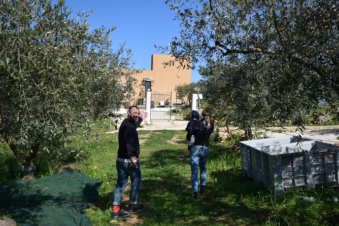 Olive Oil Experience - Learning the Art of Olive Oil Pressing