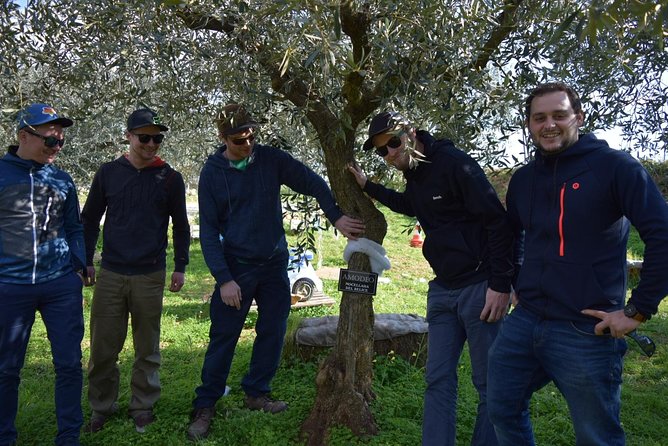 Olive Oil Experience - Guided Olive Oil Tasting: Savoring Sicily’s Liquid Gold