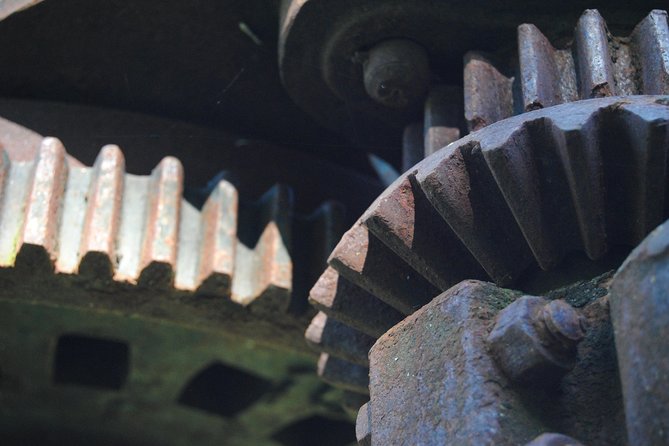 Olive Oil Farm Tour with Tasting from Seville - Olive Oil Tasting and Local Appetizer