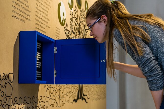 Olive Oil Guided Tasting and History in Pula - Pairing Olive Oil with Dessert