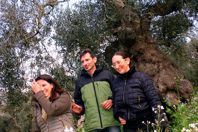 Olive Oil Mill experience and tasting in Salento with Guide - Logistics: Meeting Point and Tour Structure