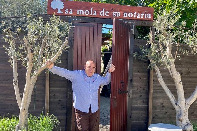 Olive Oil Museum: Extravirgin school with food and wine tasting - Recognizing High-Quality Extra Virgin Olive Oil