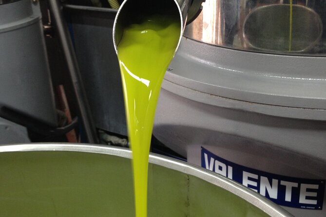 Olive Oil Private Full-Day Tour with Tasting in Valencia - Key Points