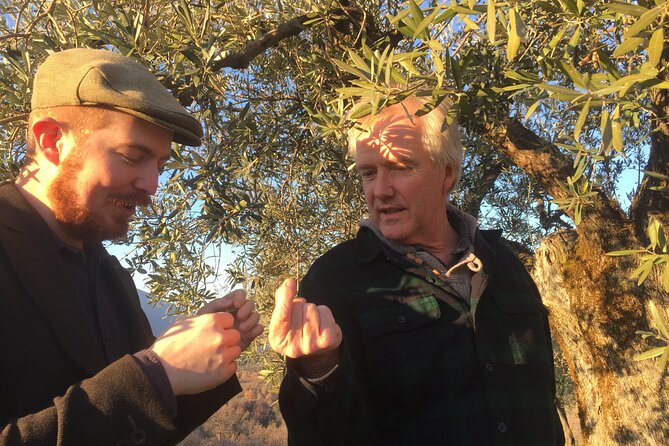 Olive Oil Private Full-Day Tour with Tasting in Valencia - Learning to Taste Olive Oil Perfectly