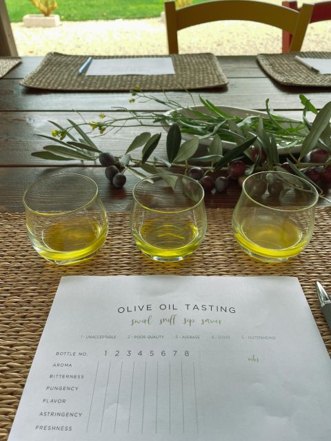 Olive oil tasting and olive grove walking tour - Accessibility and Physical Considerations